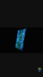 Wonderland Caterpillar Matrix Portal