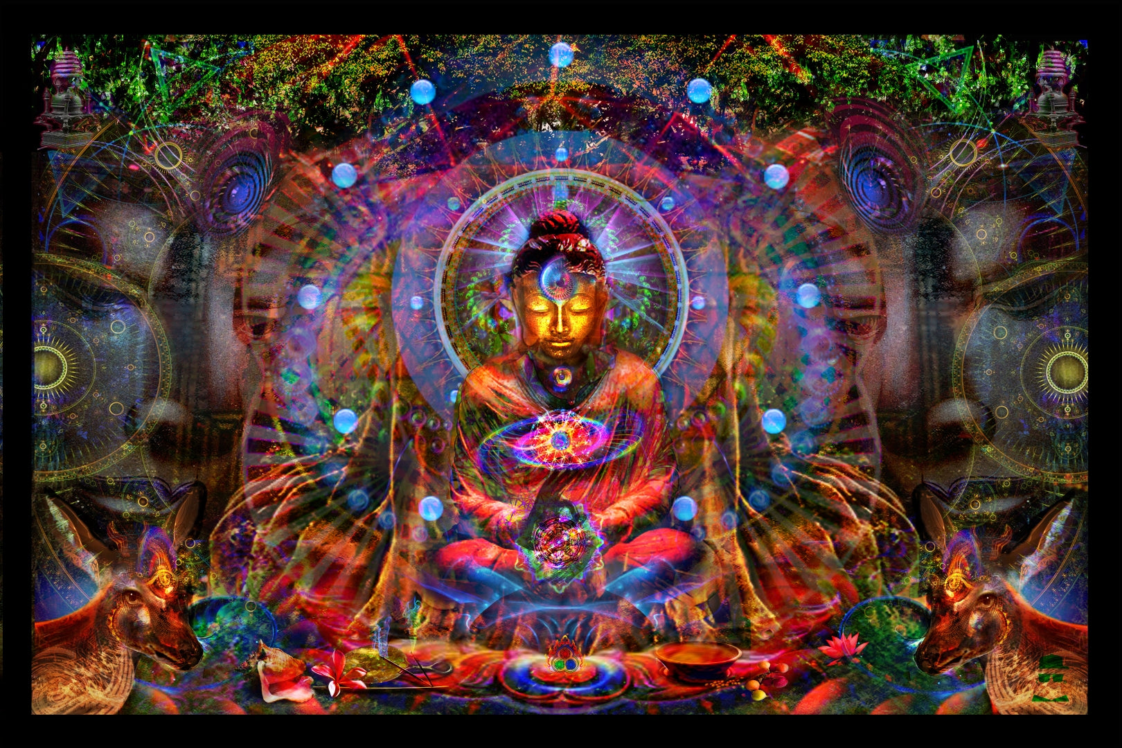 Buddha Matrix Portal