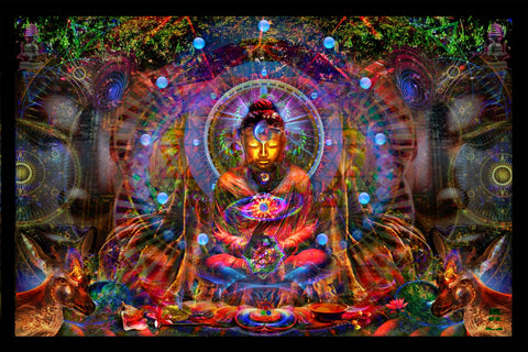 Buddha Matrix Portal