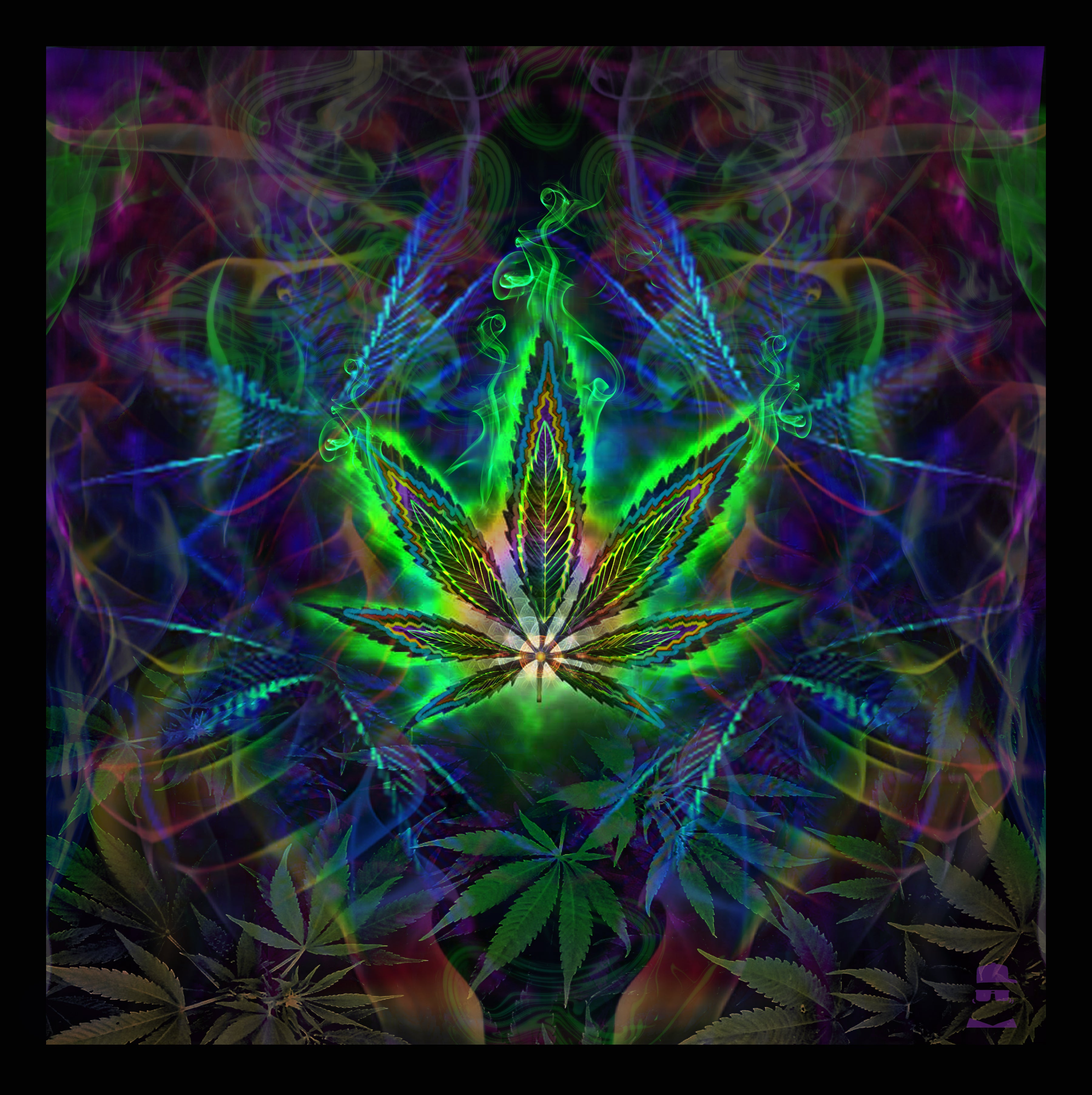 Sweet Leaf Art Print