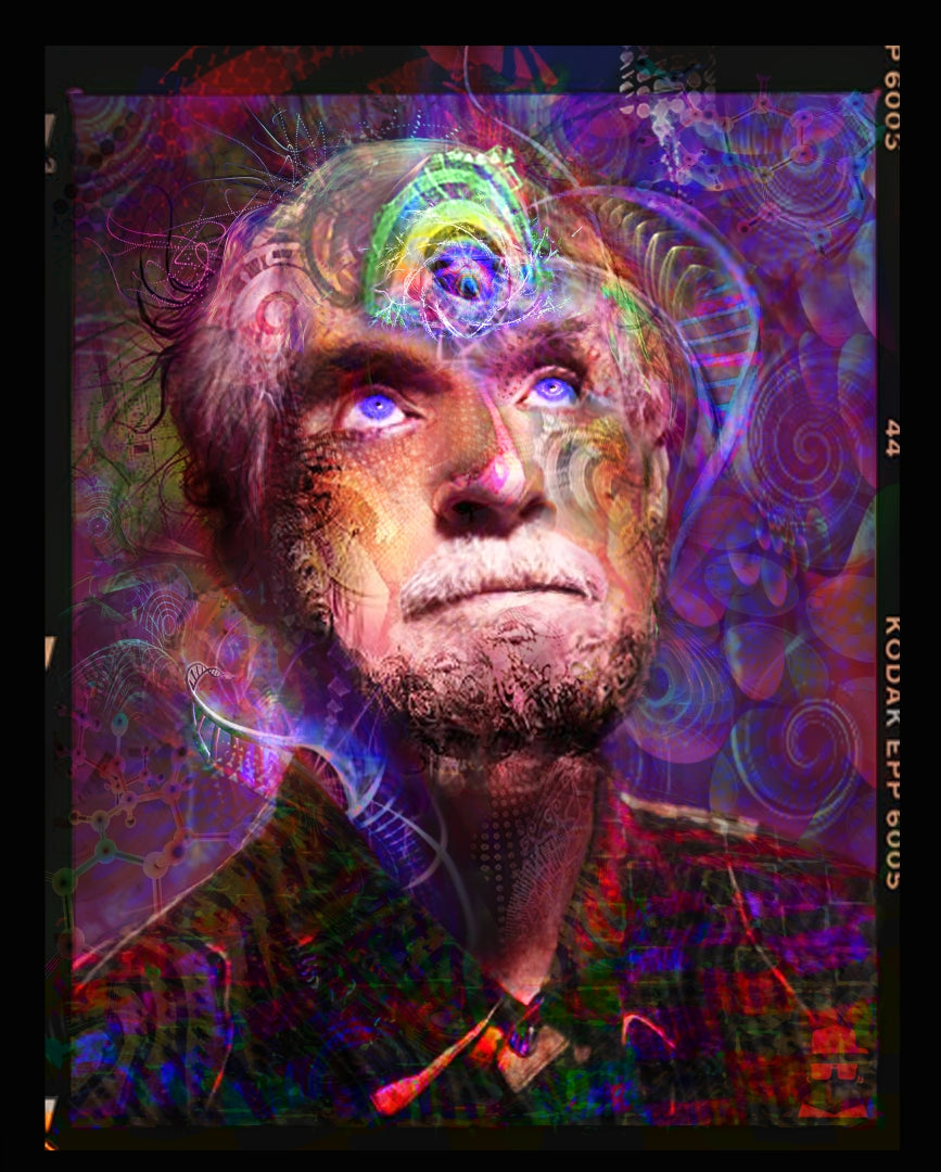 Leary Portal - 11x17"